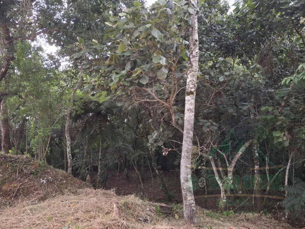 Terreno, 2 hectares - Foto 12