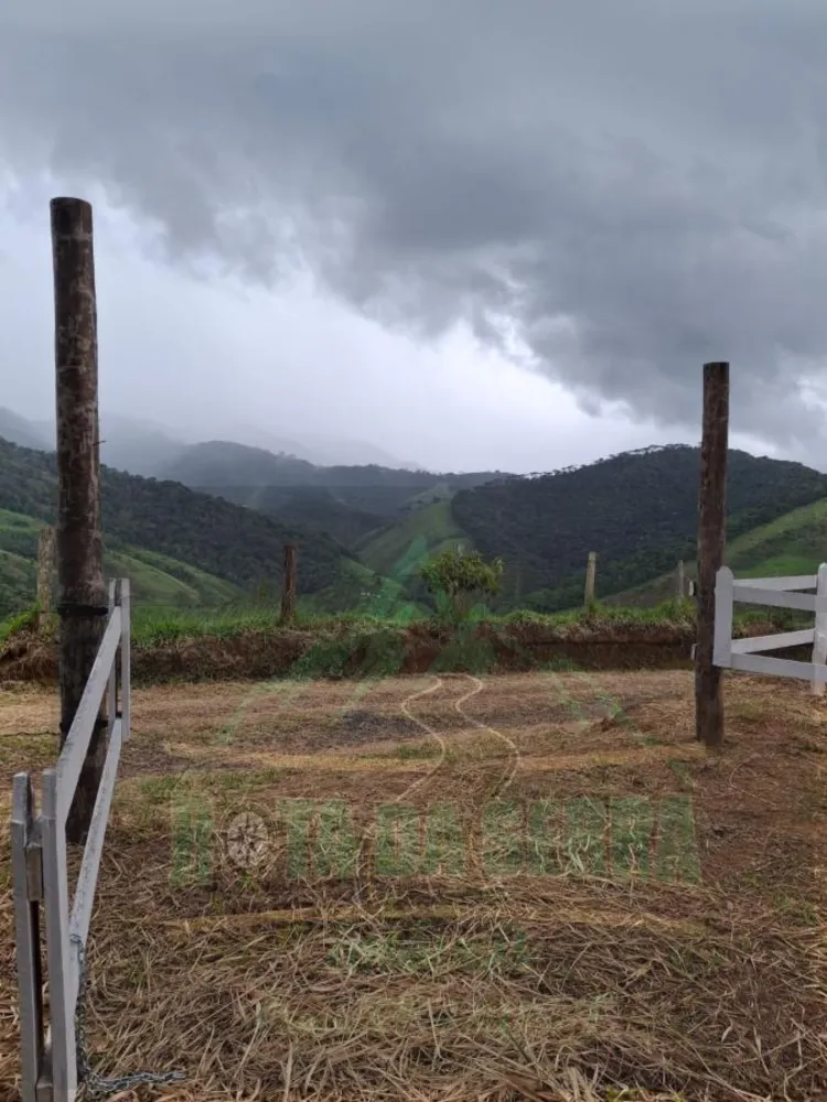 Terreno, 2 hectares - Foto 4