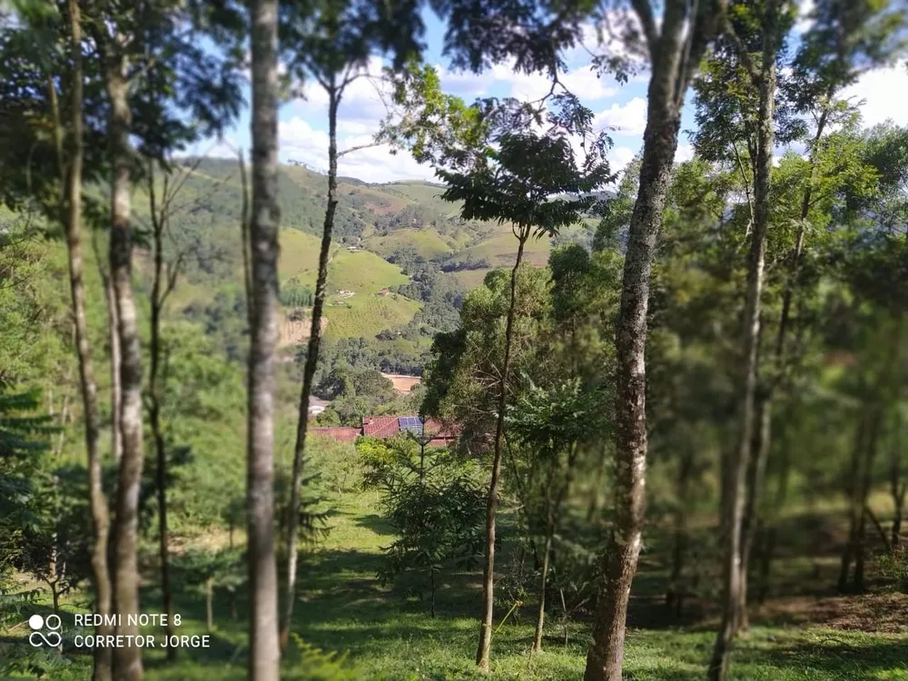 Terreno, 10000 m² - Foto 2