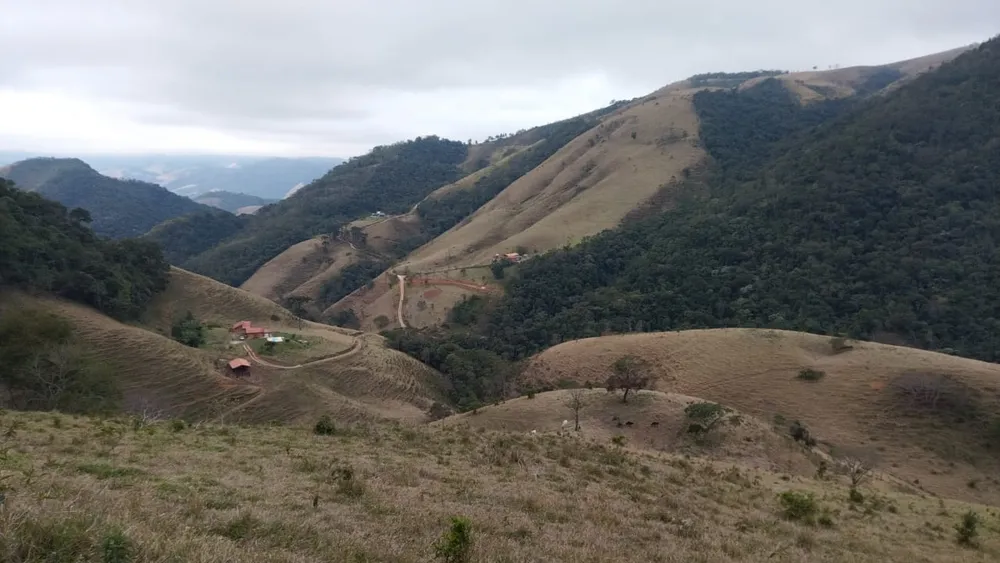 Terreno, 4 hectares - Foto 1