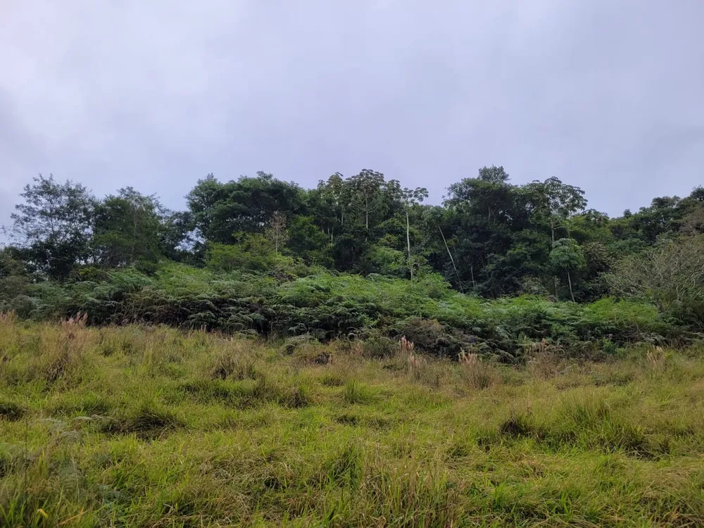 Terreno, 4 hectares - Foto 13