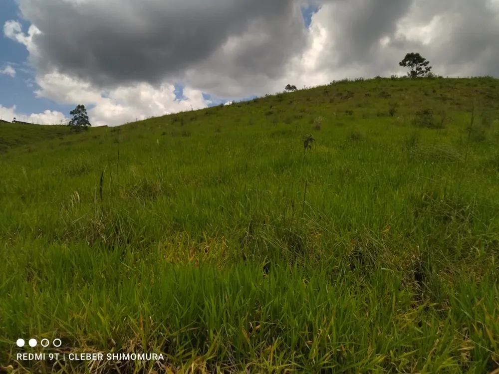 Terreno, 2 hectares - Foto 1