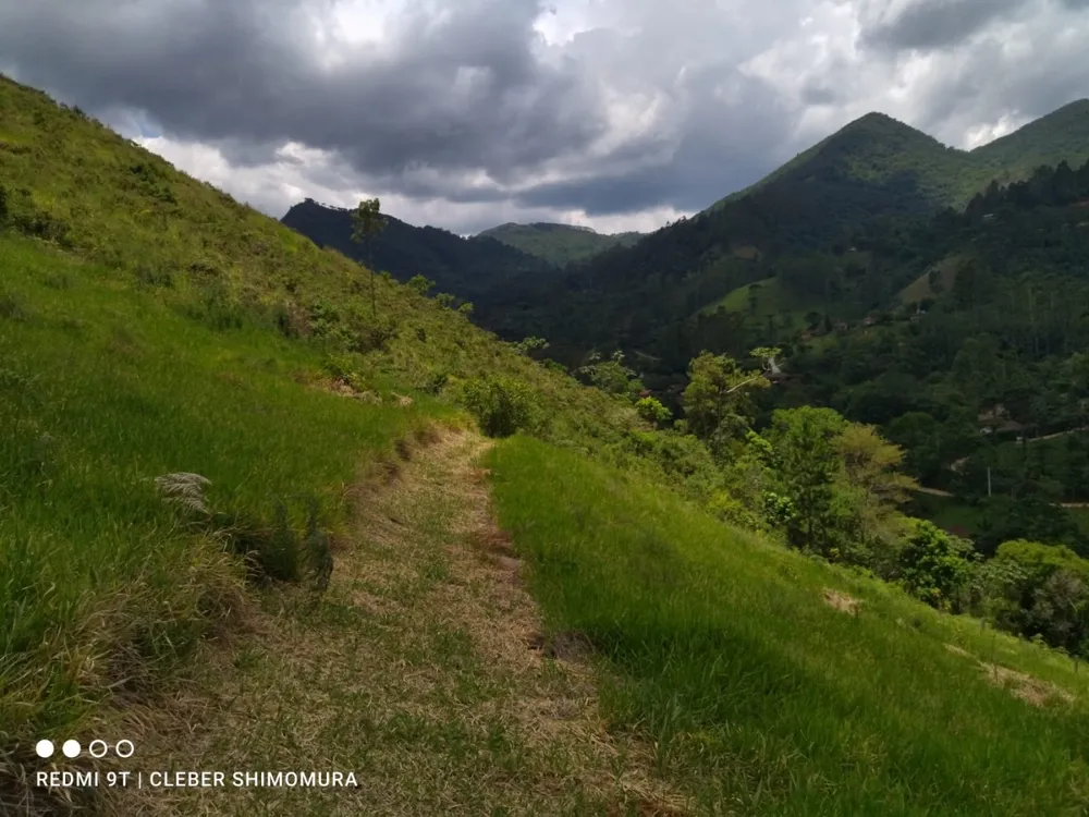Terreno, 2 hectares - Foto 6
