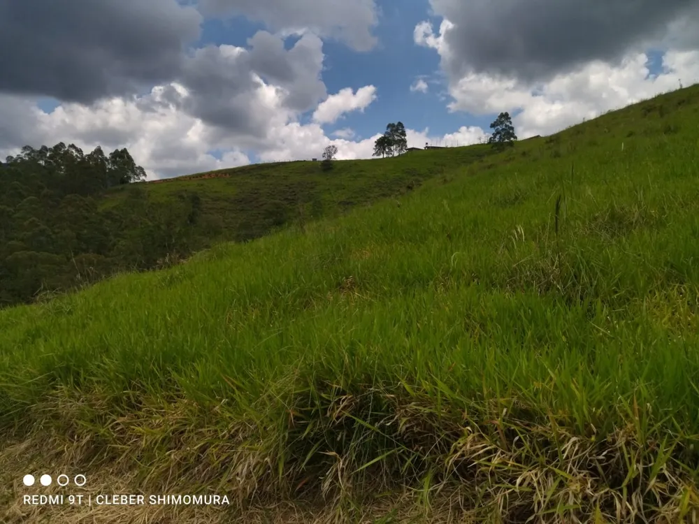 Terreno, 2 hectares - Foto 14
