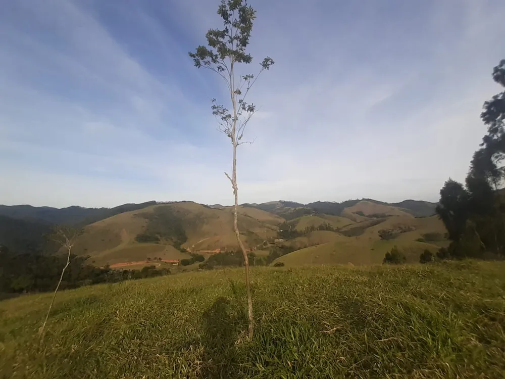 Terreno - Foto 8