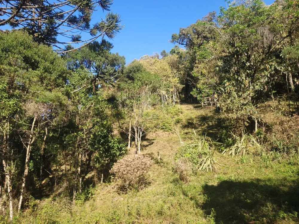 Terreno, 9 hectares - Foto 12