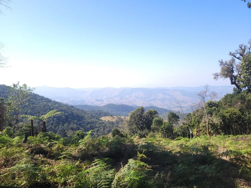 Terreno, 9 hectares - Foto 16