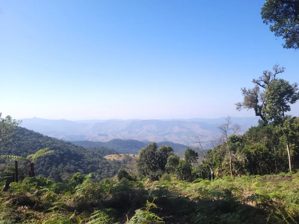 Terreno, 9 hectares - Foto 15