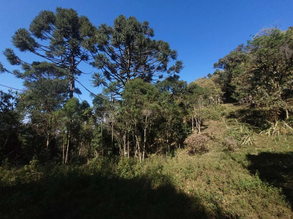 Terreno, 9 hectares - Foto 11