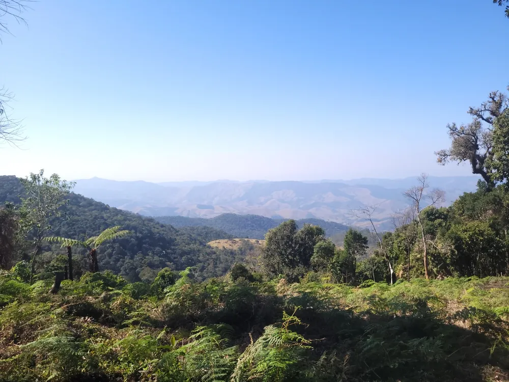 Terreno, 9 hectares - Foto 1