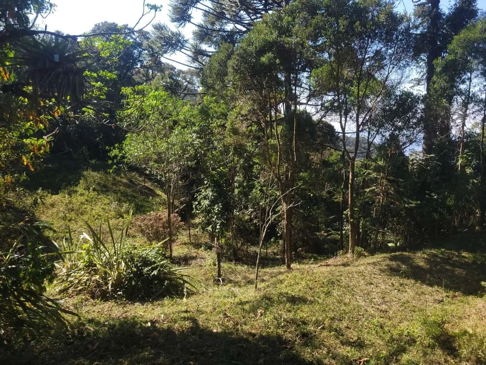 Terreno, 9 hectares - Foto 10