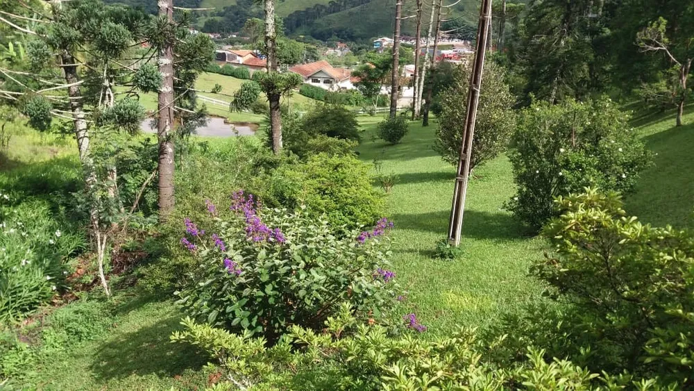 Terreno, 24 hectares - Foto 16