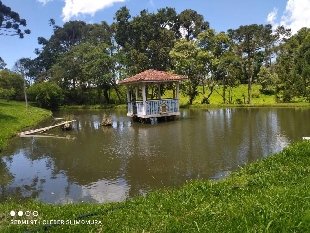 Terreno, 24 hectares - Foto 1