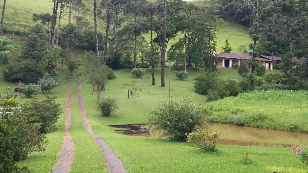 Terreno, 24 hectares - Foto 15