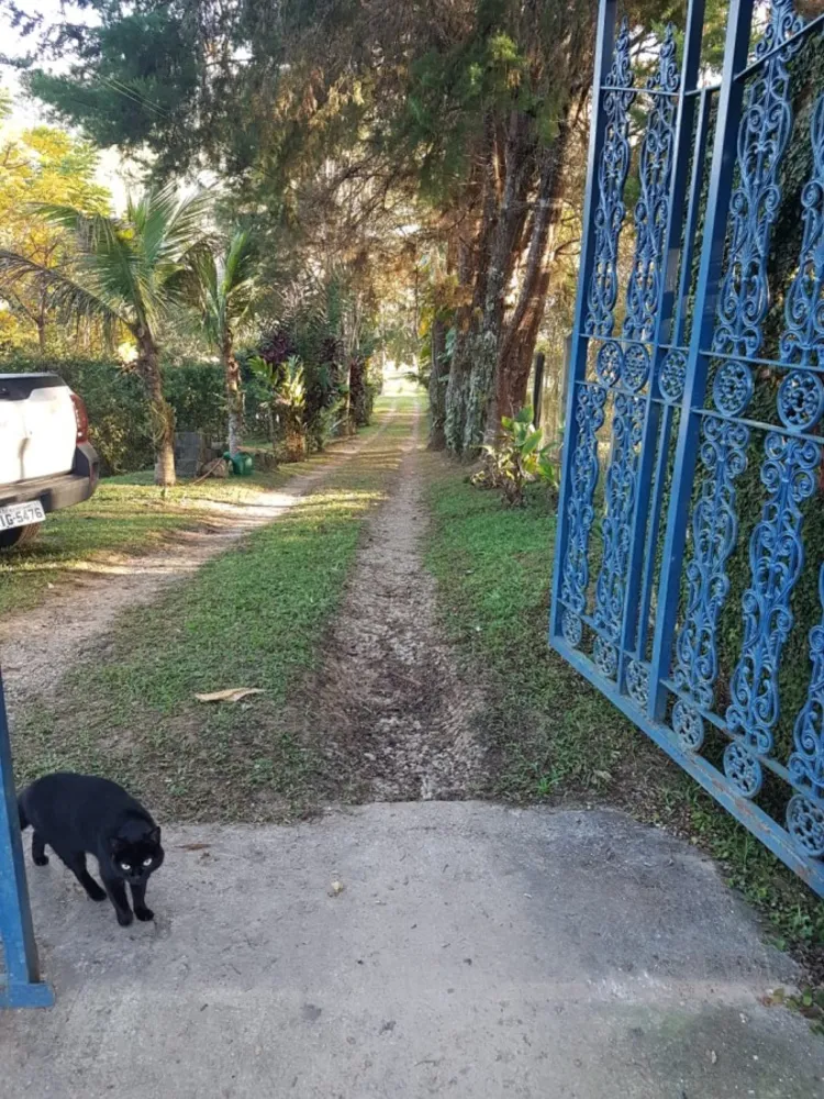 Terreno, 2 hectares - Foto 4