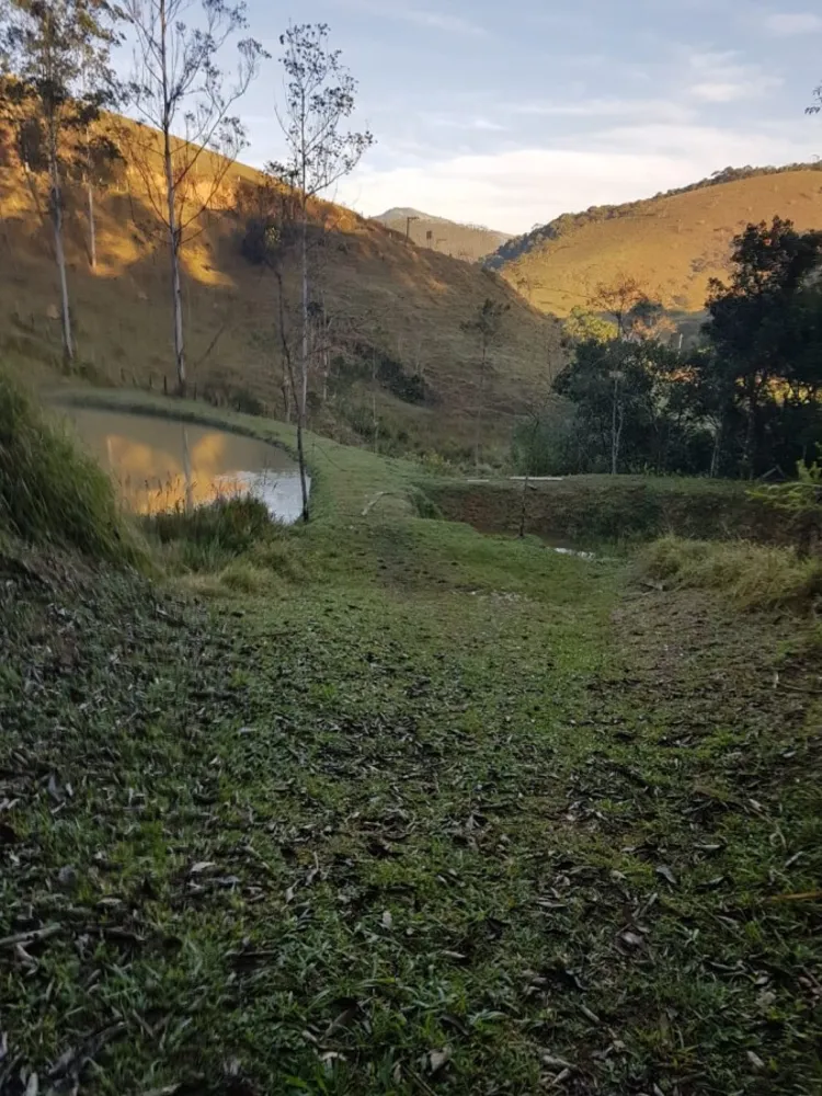 Terreno, 2 hectares - Foto 6