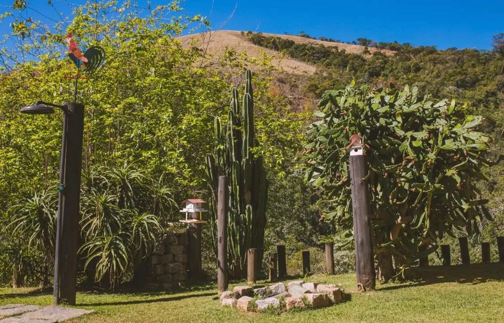 Terreno, 7 hectares - Foto 12