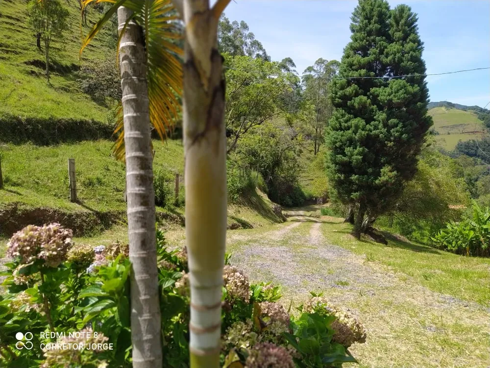 Terreno, 2 hectares - Foto 4