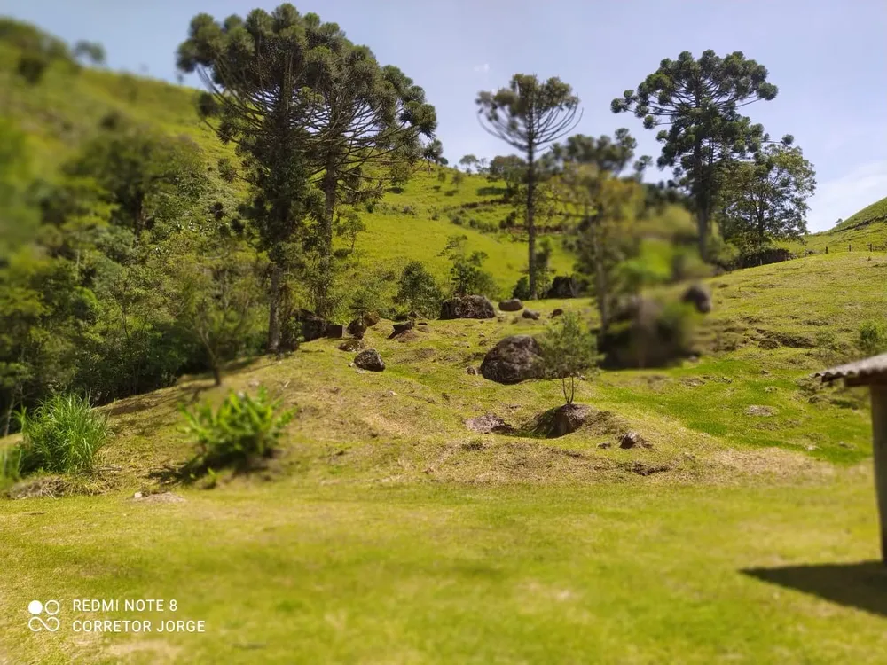 Terreno, 2 hectares - Foto 10