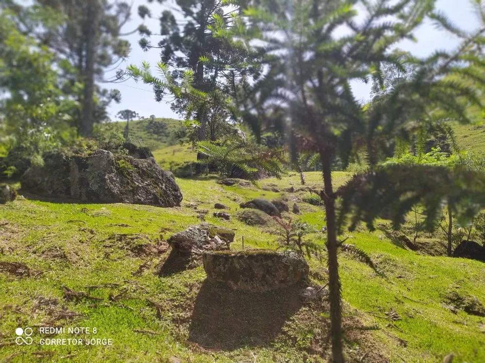 Terreno, 2 hectares - Foto 4
