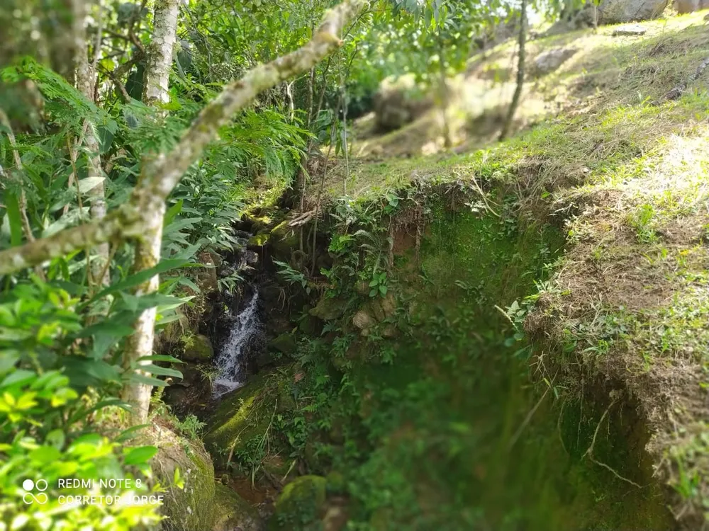 Terreno, 2 hectares - Foto 8