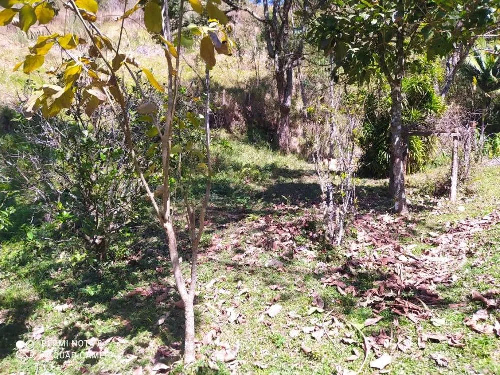 Terreno, 7 hectares - Foto 4