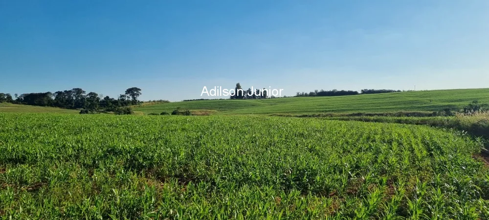 Fazenda à venda - Foto 10