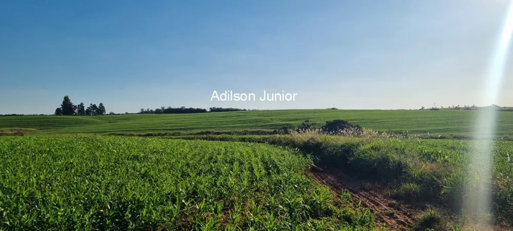 Fazenda à venda - Foto 9