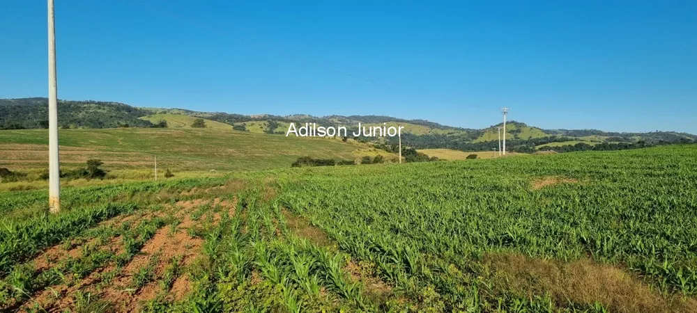 Fazenda à venda - Foto 13