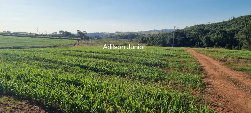 Fazenda à venda - Foto 2