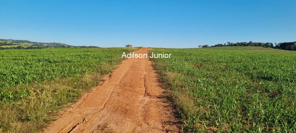 Fazenda à venda - Foto 1