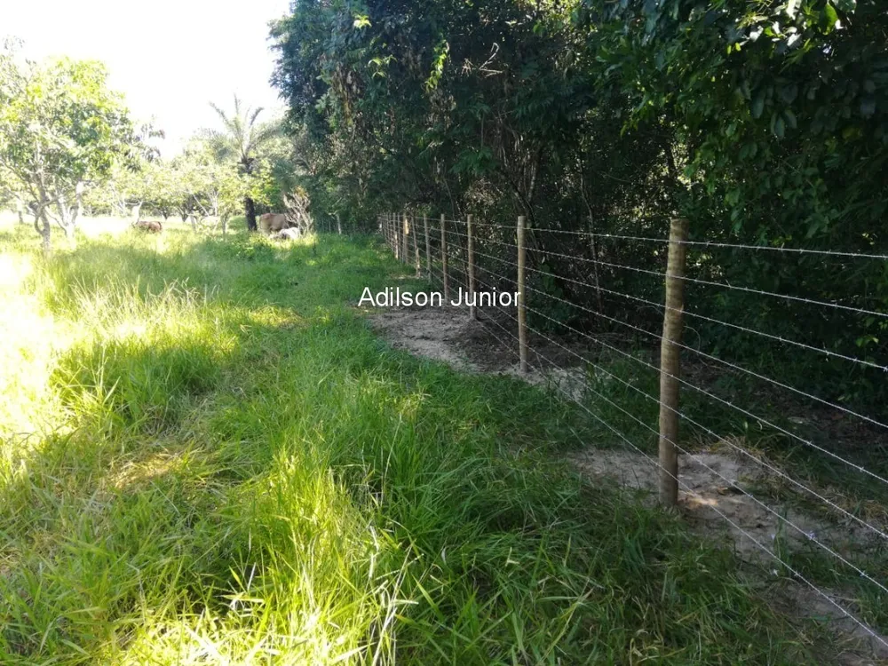 Sítio, 3 quartos - Foto 5