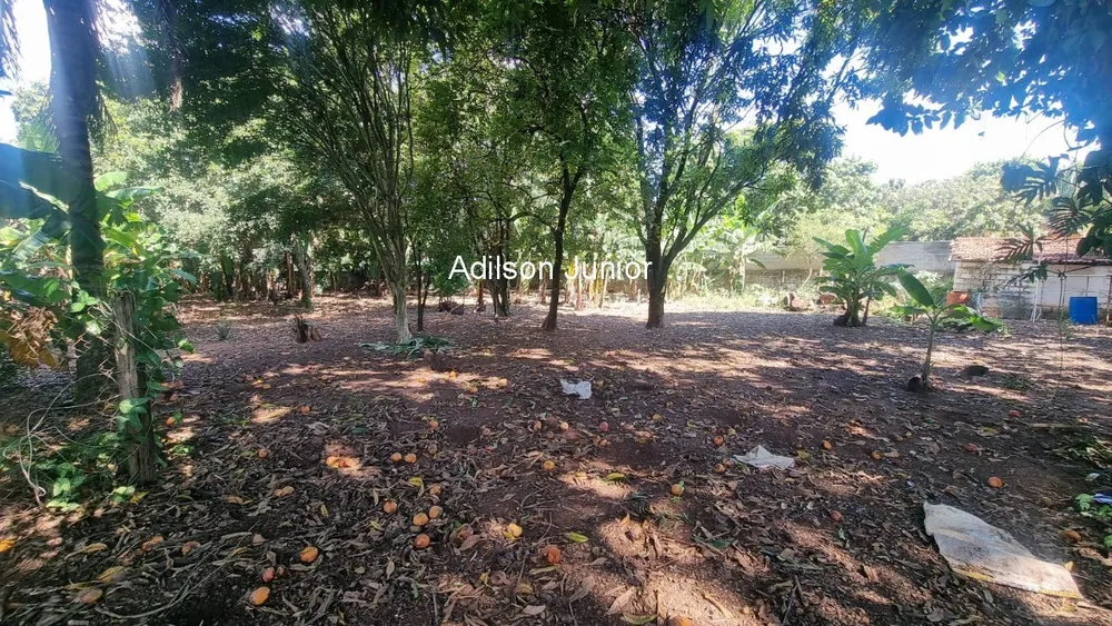 Chácara, 3 quartos, 2850 m² - Foto 5