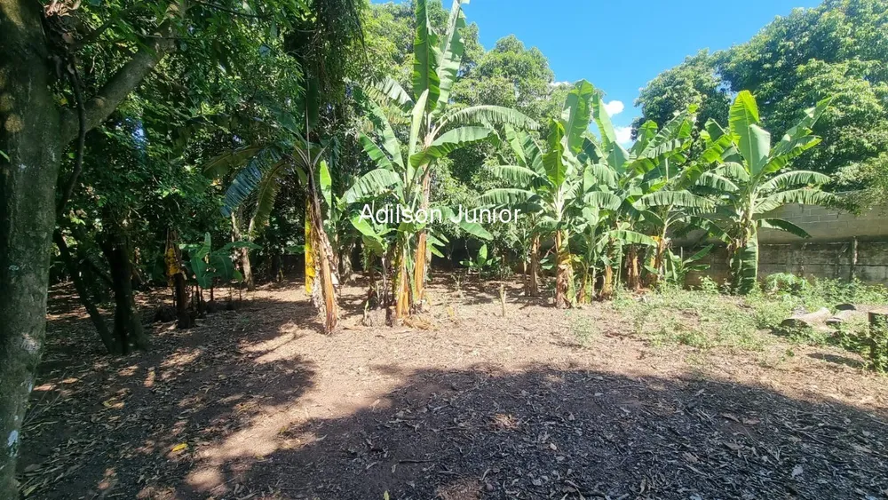Chácara, 3 quartos, 2850 m² - Foto 4