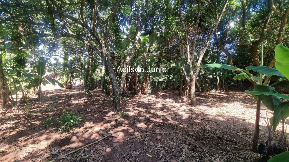 Chácara, 3 quartos, 2850 m² - Foto 6
