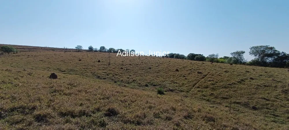 Fazenda, 4 quartos - Foto 12
