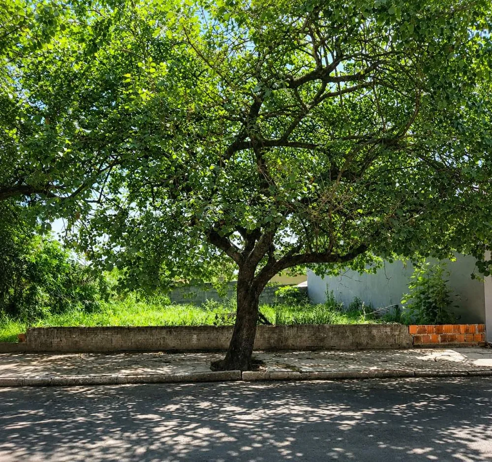 Terreno, 200 m² - Foto 1