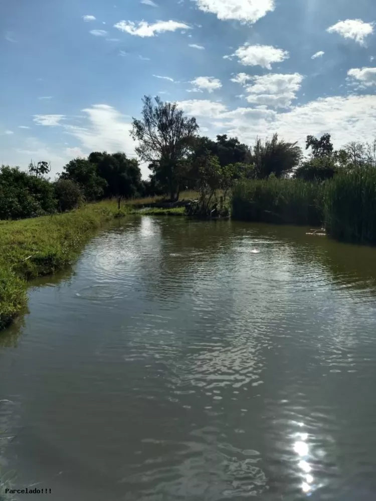 Fazenda à venda com 4 quartos, 6m² - Foto 2