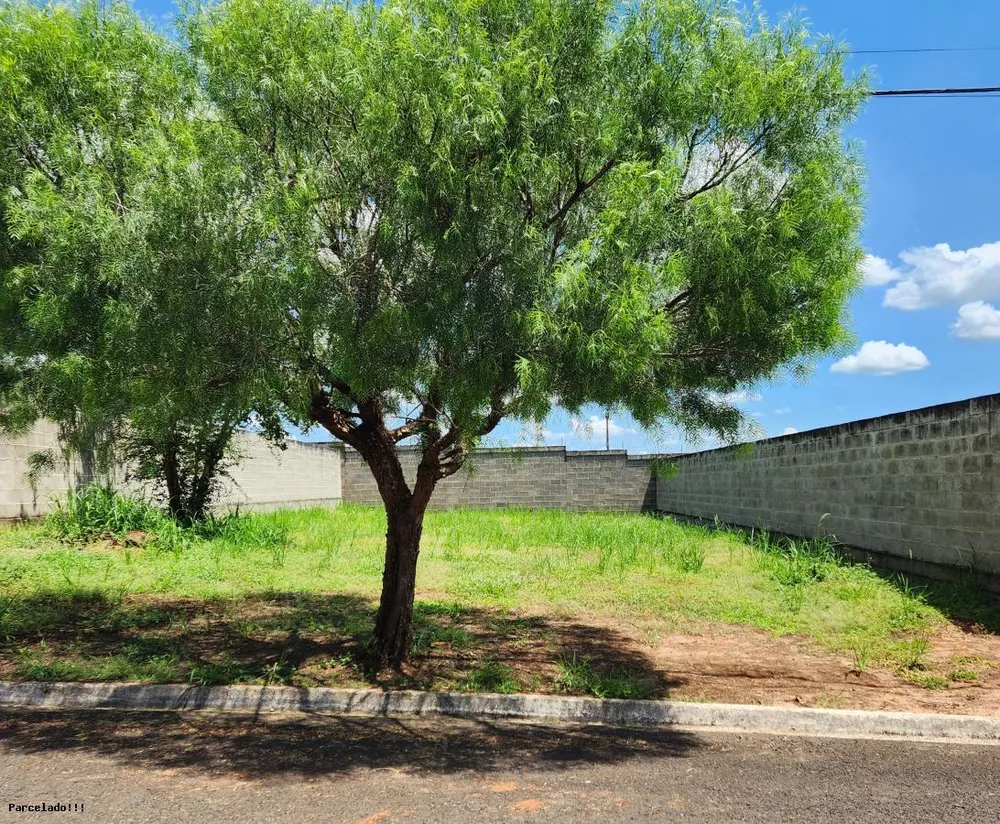 Terreno à venda, 300m² - Foto 1