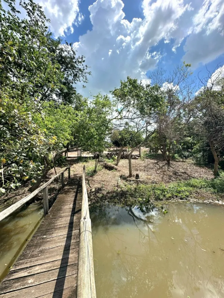 Chácara, 2 quartos, 5000 m² - Foto 5