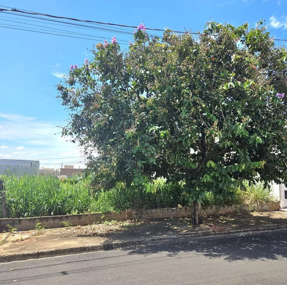 Terreno, 250 m² - Foto 1