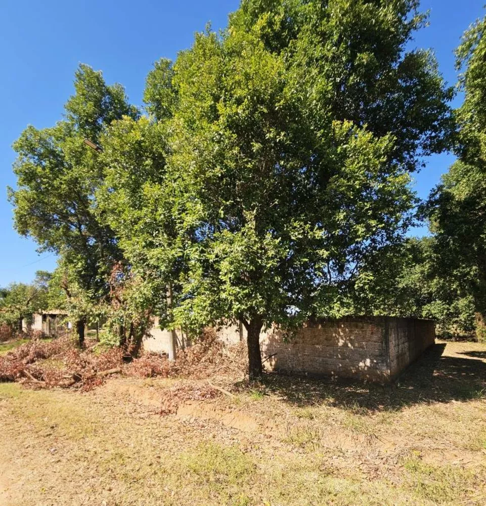 Terreno, 1000 m² - Foto 2