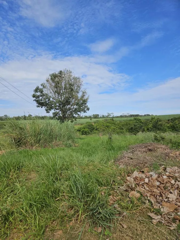 Fazenda à venda, 2370m² - Foto 1