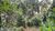 Terreno, 1025 m² - Foto 3
