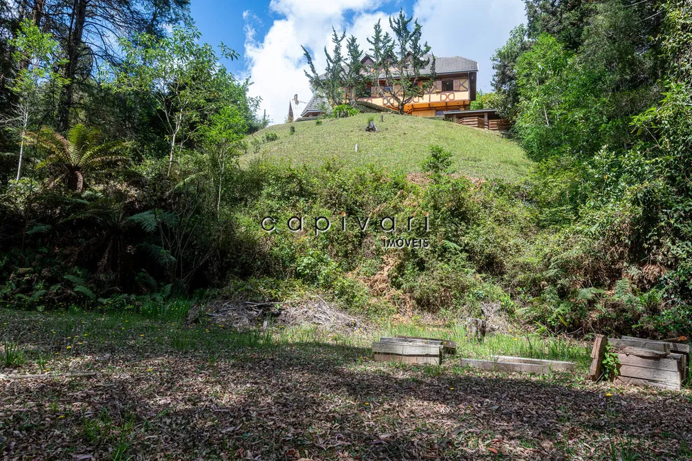 Casa, 7 quartos, 3300 m² - Foto 7
