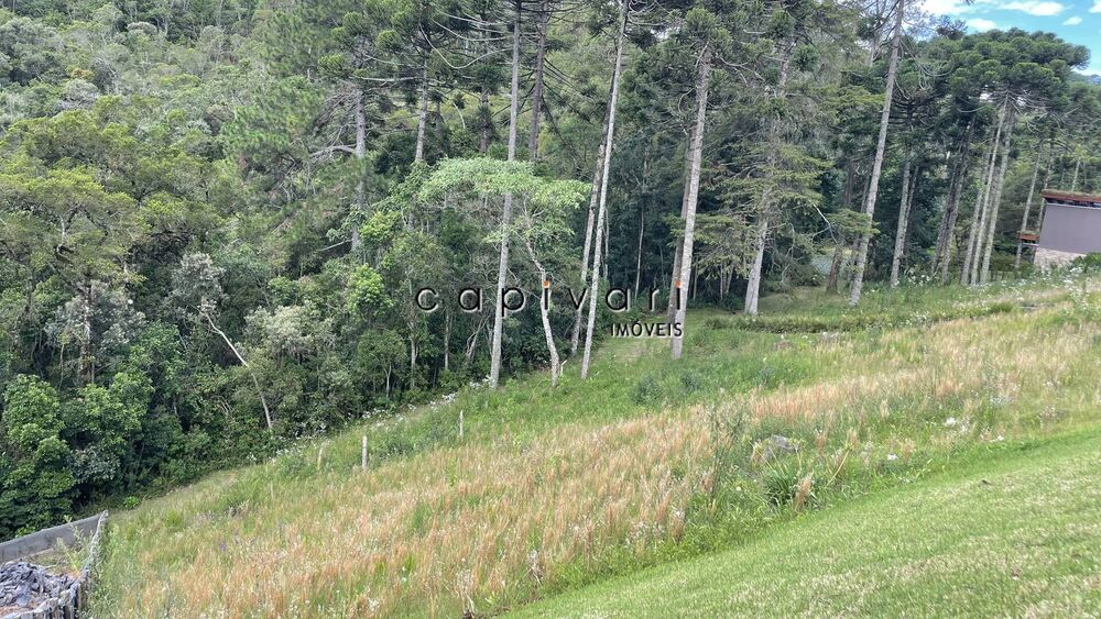 Terreno à venda, 1150m² - Foto 1