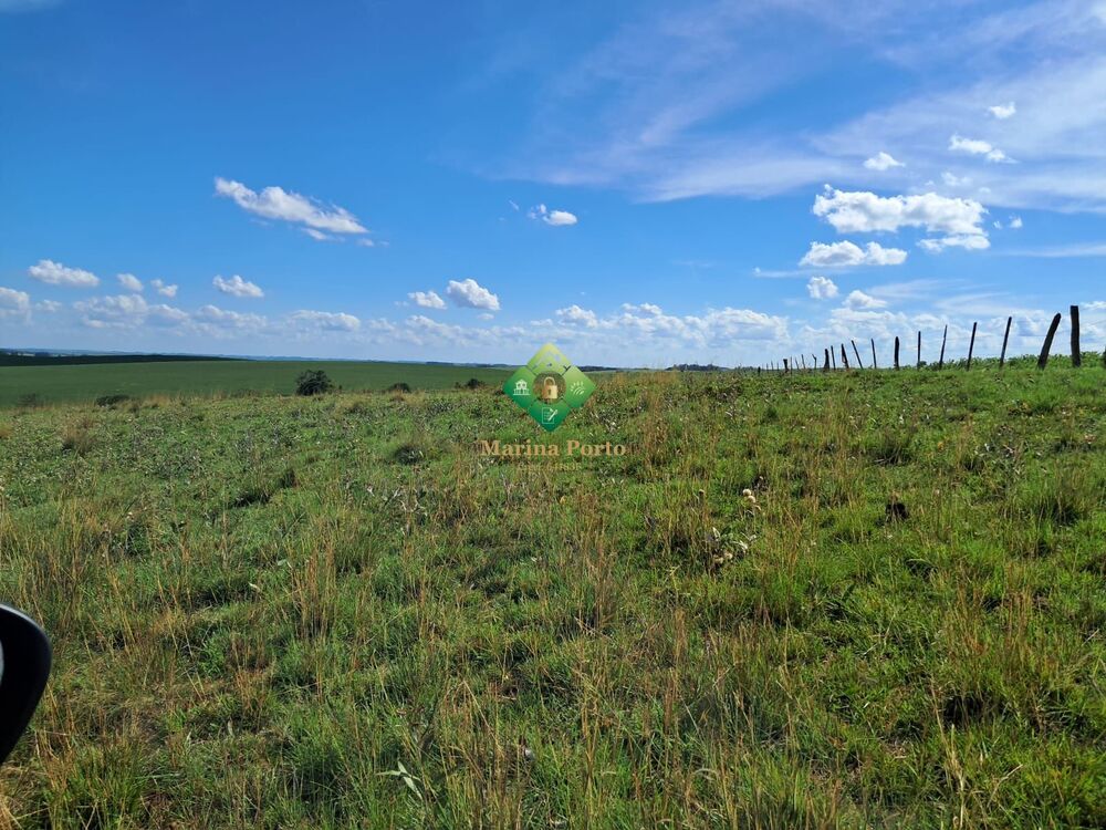 Chácara, 2 quartos, 10 hectares - Foto 3