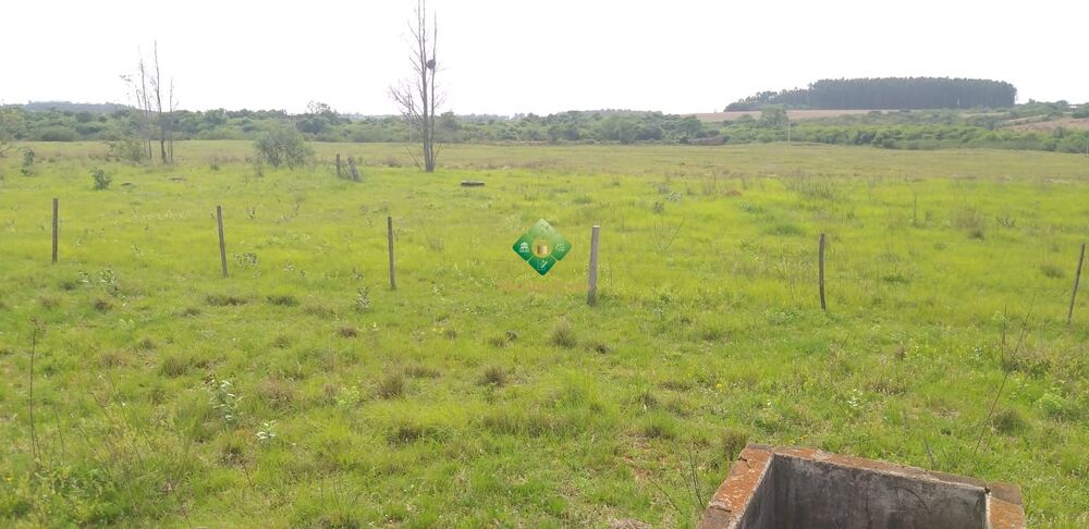 Terreno à venda, 220000m² - Foto 4