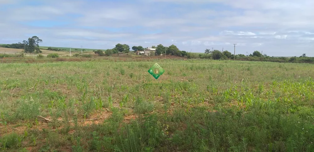 Terreno, 22 hectares - Foto 6