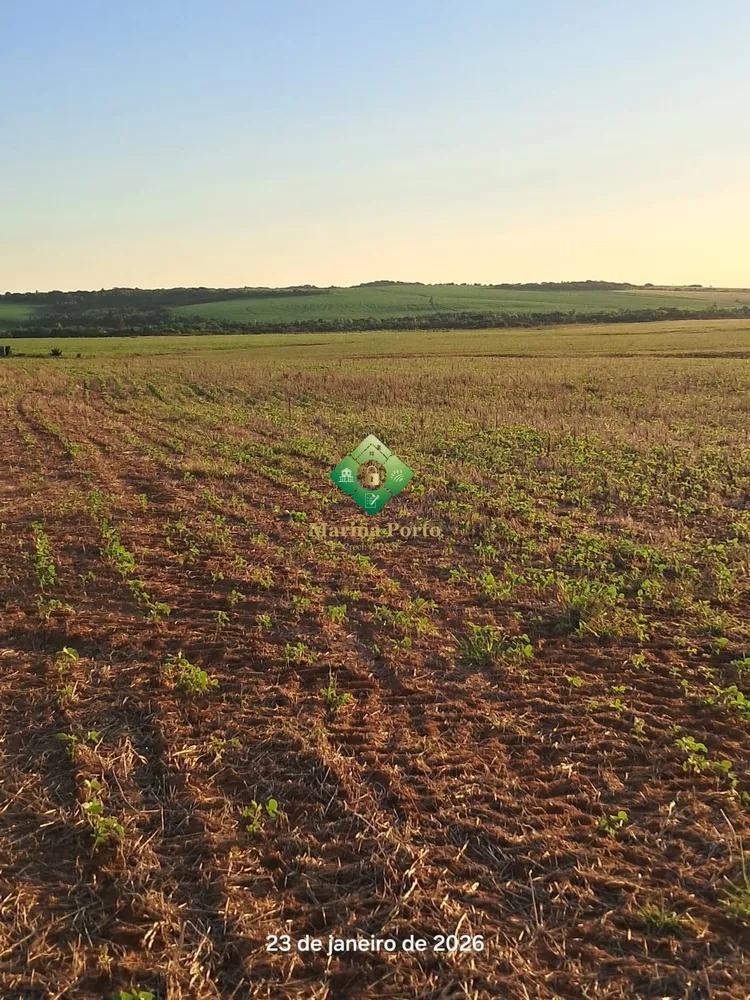 Fazenda, 127 hectares - Foto 8